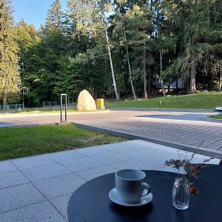 Mountain Forset View Apartmán Sklářská Poruba