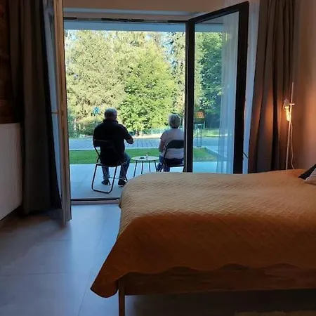 Mountain Forset View *