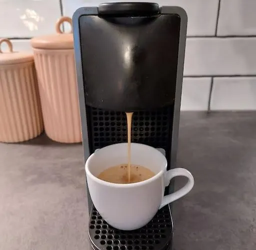 Mountain Forset View *